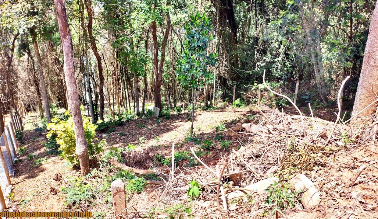 TERRENO 1.OOO PÉ NA ÁGUA A VENDA JOANÓPLIS INTERIOR DE SÃO PAULO REPRESA DO JAGUARI (2)