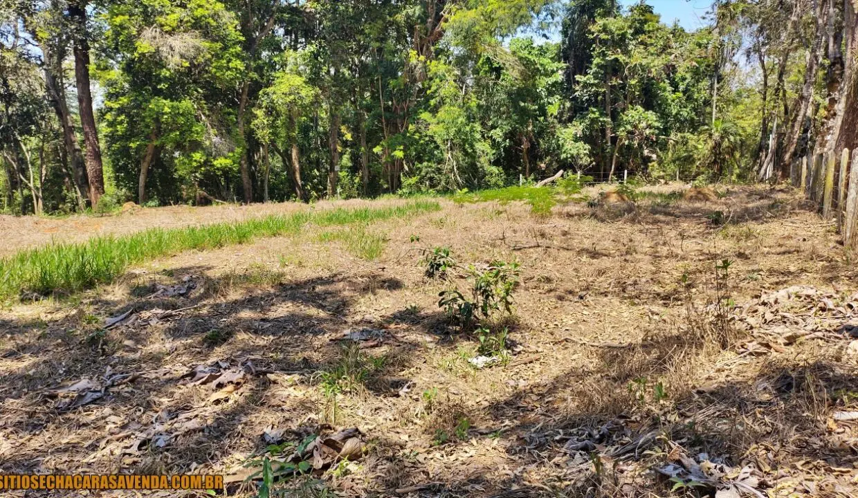 TERRENO 1.OOO PÉ NA ÁGUA A VENDA JOANÓPLIS INTERIOR DE SÃO PAULO REPRESA DO JAGUARI (3)