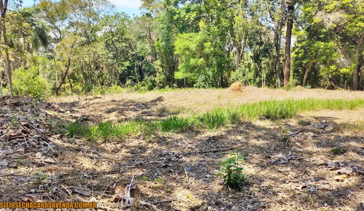 TERRENO 1.OOO PÉ NA ÁGUA A VENDA JOANÓPLIS INTERIOR DE SÃO PAULO REPRESA DO JAGUARI (9)