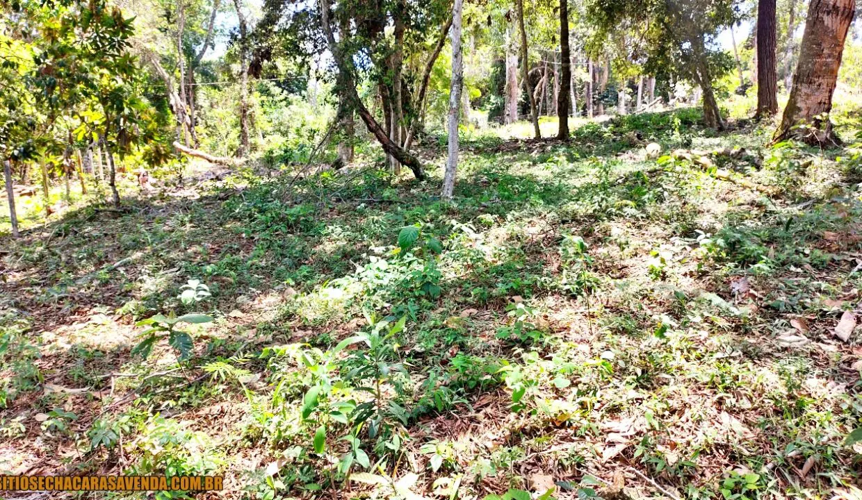 TERRENO 4.600 M² PÉ NA ÁGUA A VENDA REPRESA JAGUARI EM JOANÓPOLIS SÃO PAULO (10)