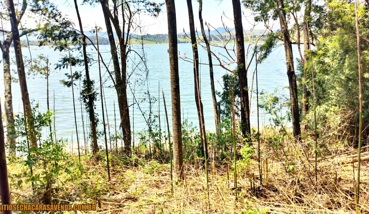 TERRENO 4.600 M² PÉ NA ÁGUA A VENDA REPRESA JAGUARI EM JOANÓPOLIS SÃO PAULO (11)