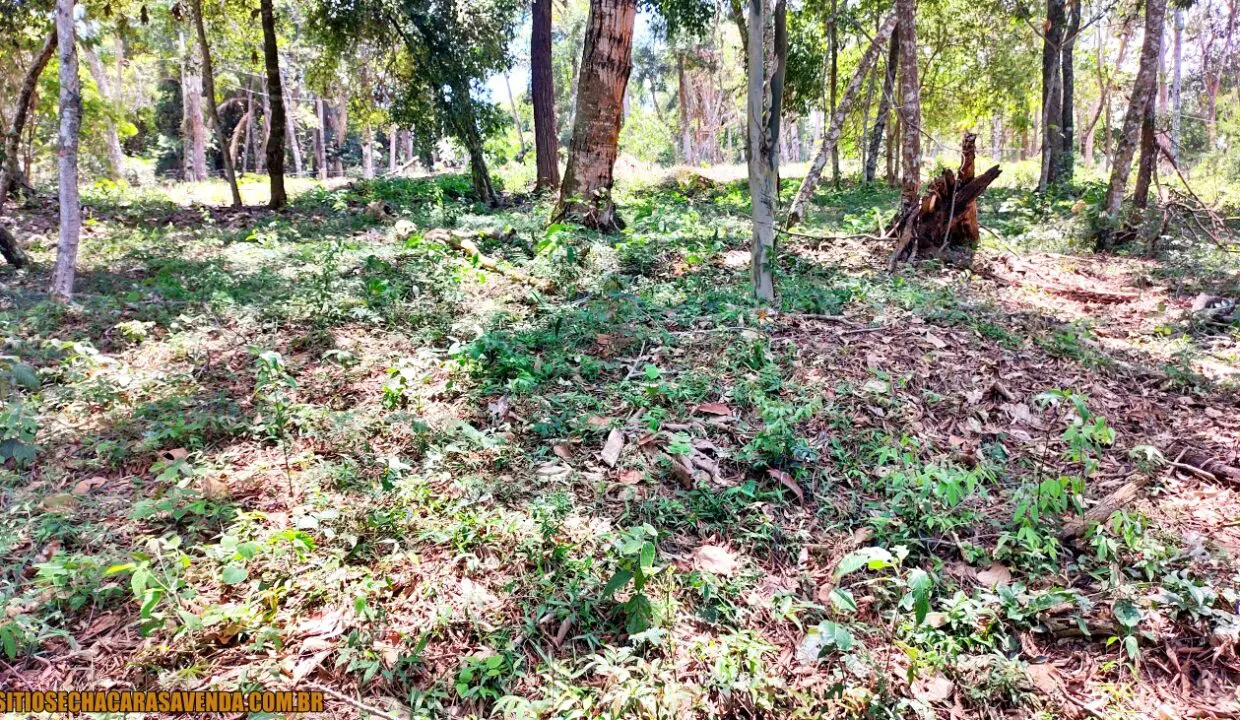 TERRENO 4.600 M² PÉ NA ÁGUA A VENDA REPRESA JAGUARI EM JOANÓPOLIS SÃO PAULO (12)