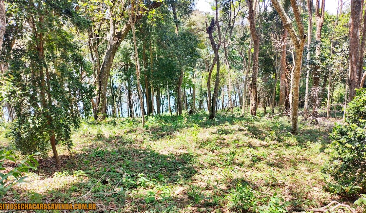 TERRENO 4.600 M² PÉ NA ÁGUA A VENDA REPRESA JAGUARI EM JOANÓPOLIS SÃO PAULO (4)