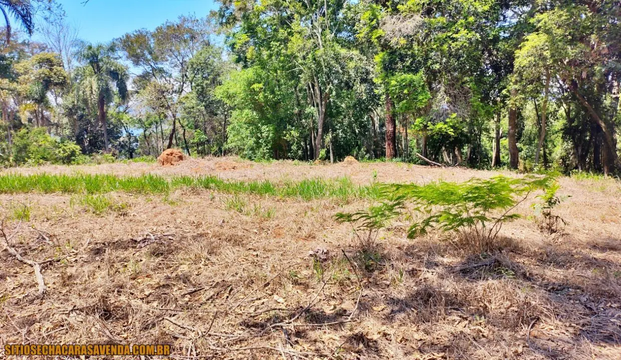 TERRENO 4.600 M² PÉ NA ÁGUA A VENDA REPRESA JAGUARI EM JOANÓPOLIS SÃO PAULO (5)