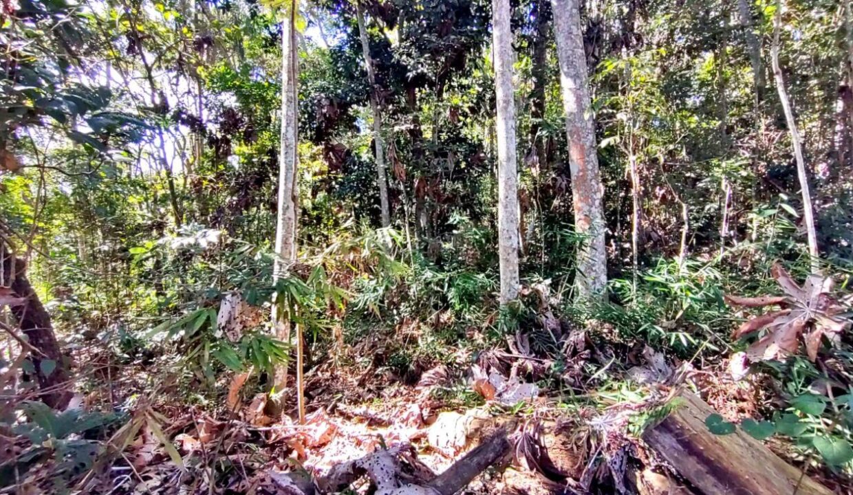 terreno a venda pé na água acesso exclusivo a represa Jaguari em Joanopolis interior de SP (13)