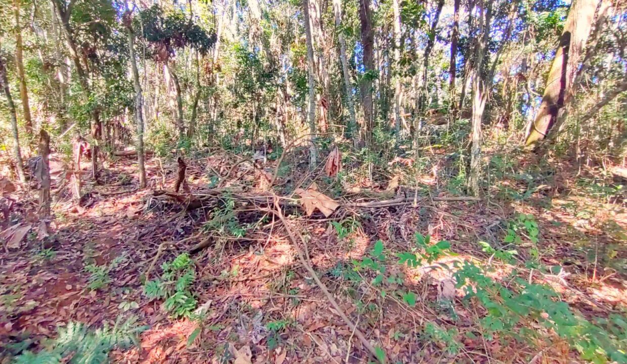 terreno a venda pé na água acesso exclusivo a represa Jaguari em Joanopolis interior de SP (24)