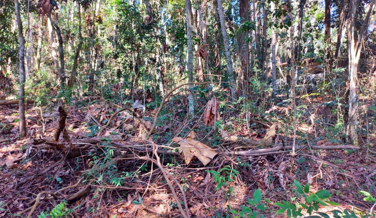 terreno a venda pé na água acesso exclusivo a represa Jaguari em Joanopolis interior de SP (3)