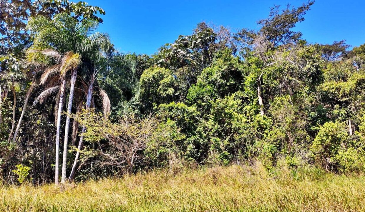 terreno a venda pé na água acesso exclusivo a represa Jaguari em Joanopolis interior de SP (4)