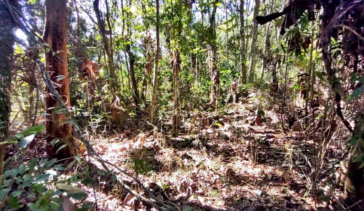 terreno a venda pé na água acesso exclusivo a represa Jaguari em Joanopolis interior de SP (8)