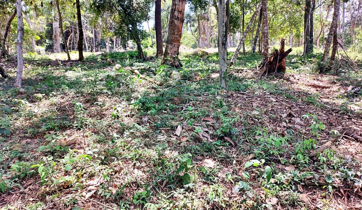 Terreno pé na água 4 (11)