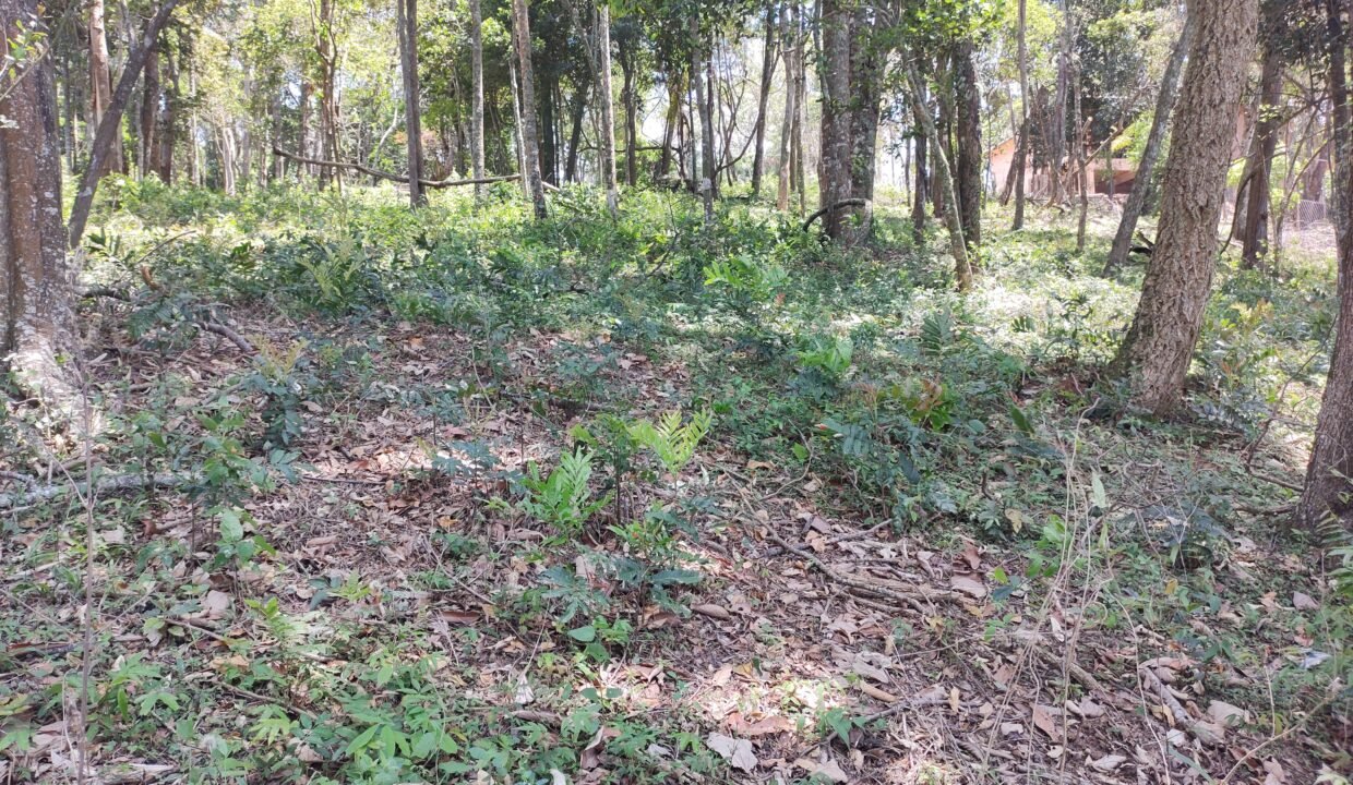 Terreno pé na água 4 (13)