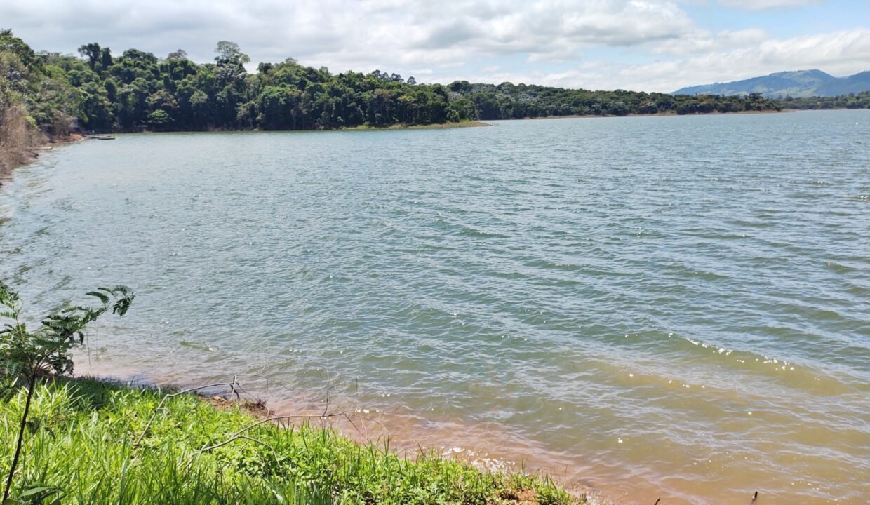 Terreno pé na água 4 (15)