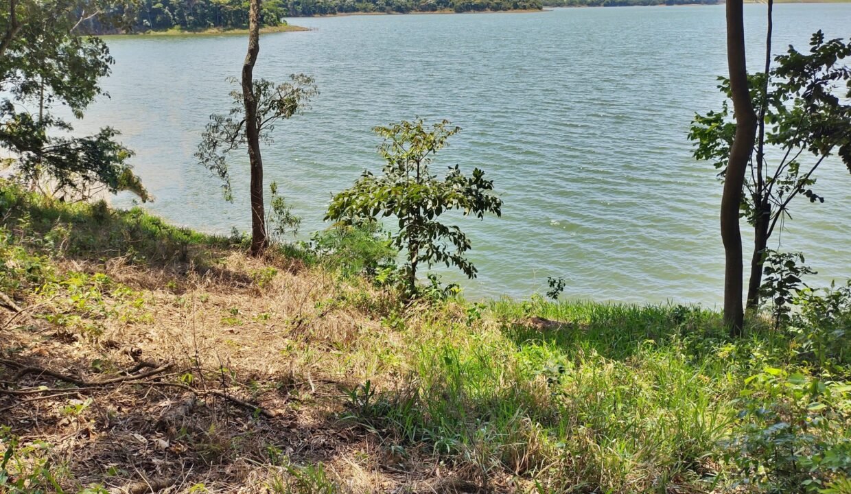 Terreno pé na água 4 (16)