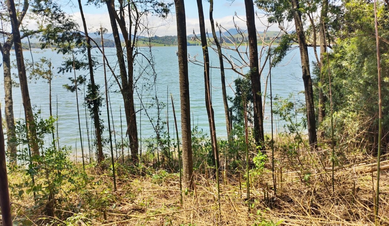 Terreno pé na água 4 (2)