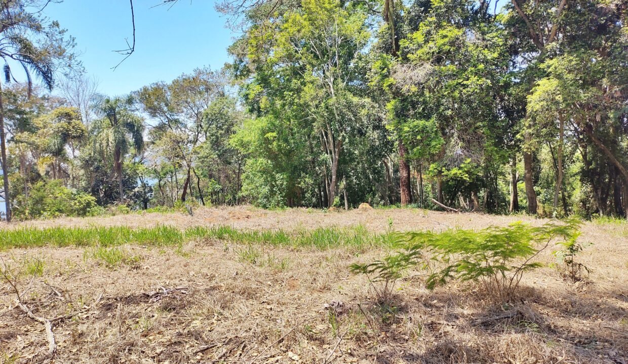 Terreno pé na água 4 (20)