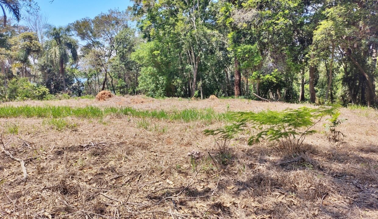 Terreno pé na água 4 (6)