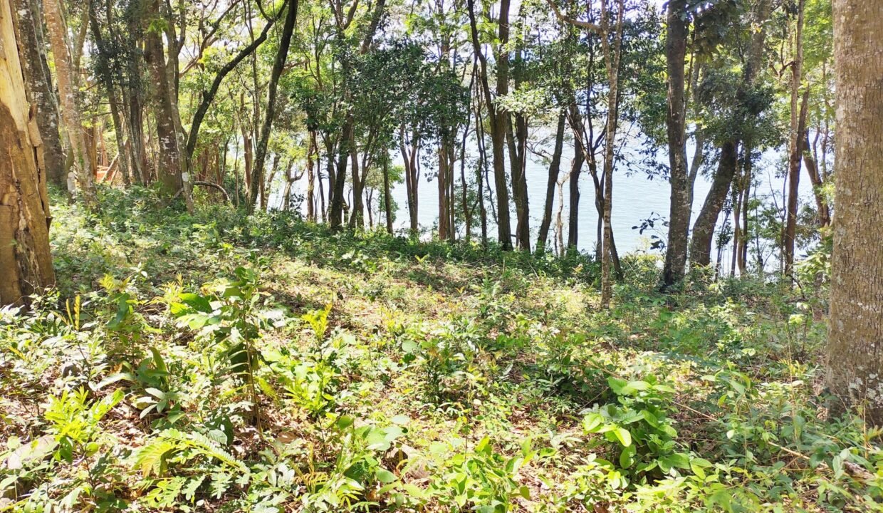 Terreno pé na água 4 (8)