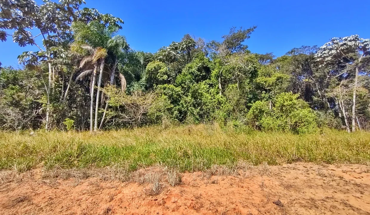 terreno grande 4.700m, pé na água a venda represa Jaguari Joanópolis SP (11)
