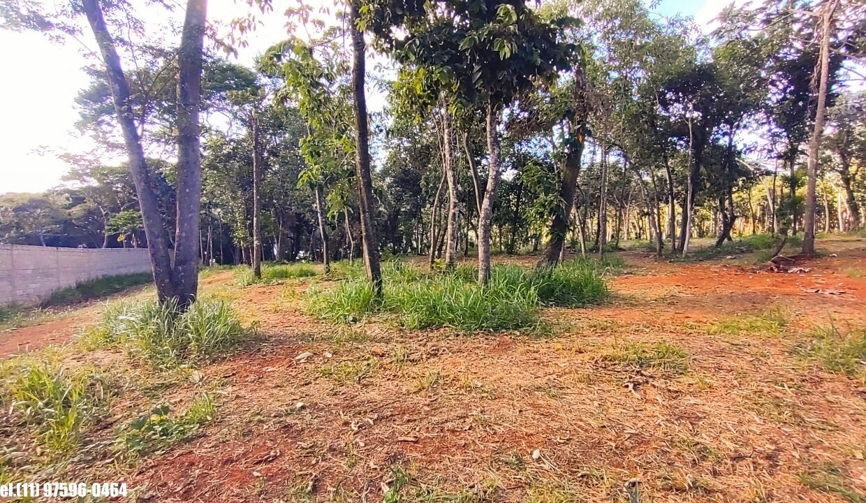 Terreno 5.000m pé n'água (1)