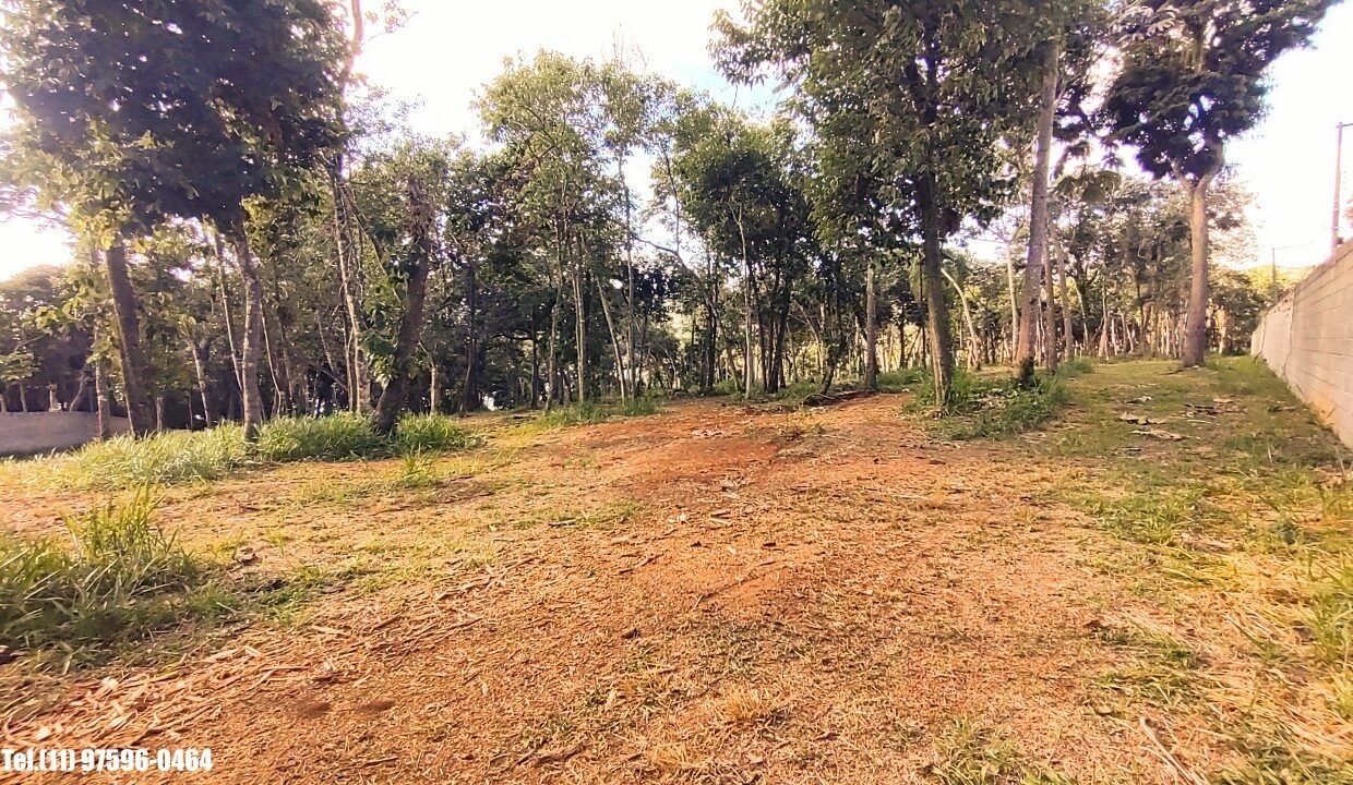 Terreno 5.000m pé n'água (15)