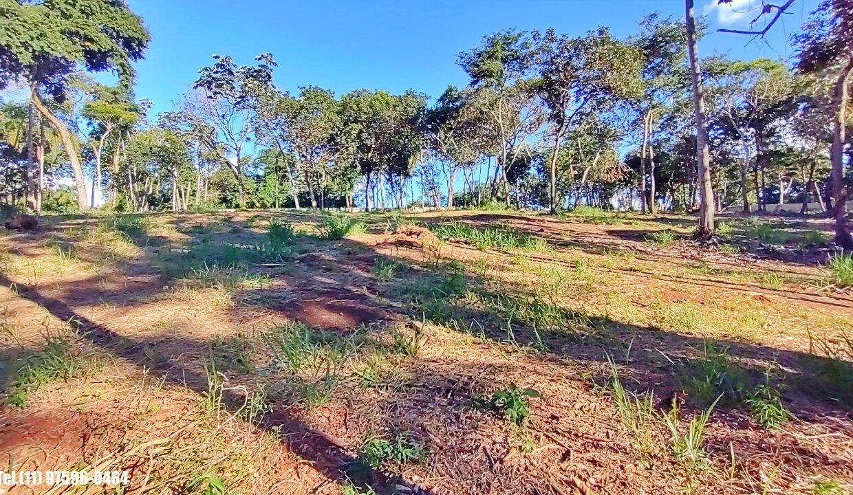 Terreno 5.000m pé n'água (18)