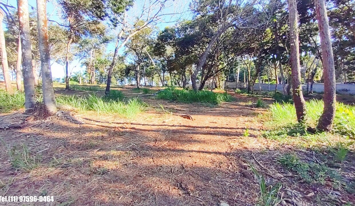 Terreno 5.000m pé n'água (26)