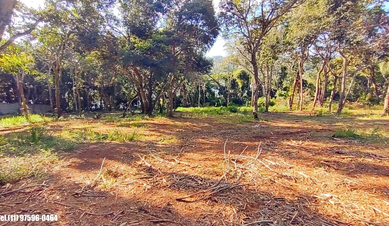 Terreno 5.000m pé n'água (27)