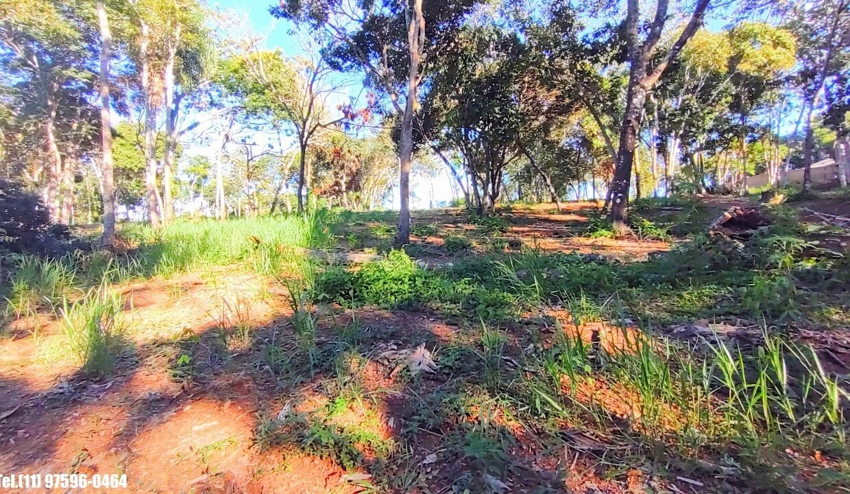 Terreno 5.000m pé n'água (8)