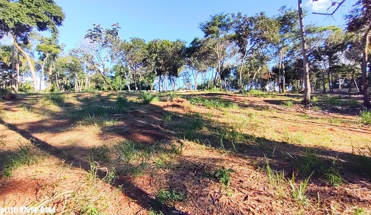 Terreno 5.000m pé n'água (9)